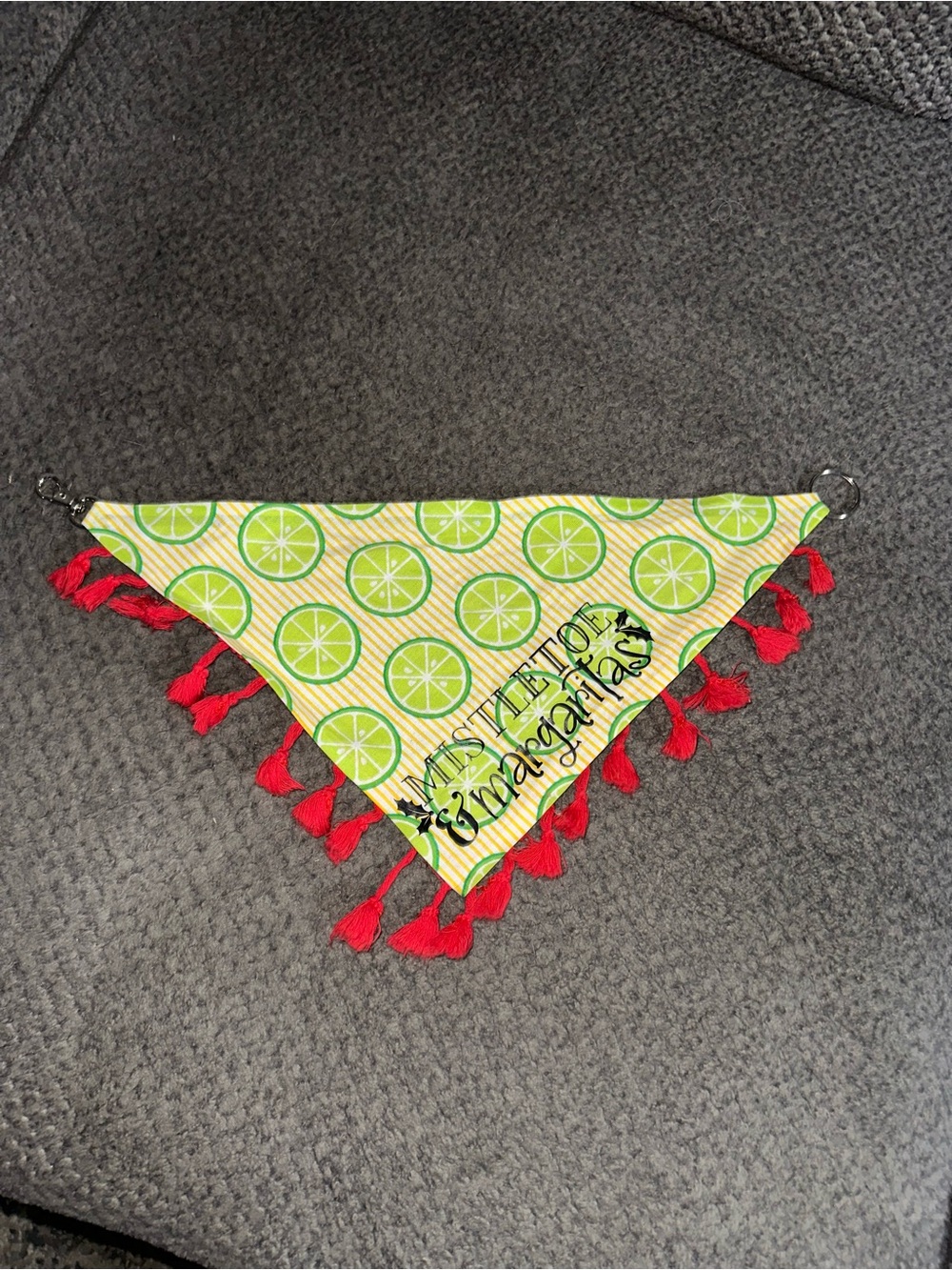Mistletoe & Margaritas Dog Bandana